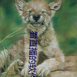 看直(直)播的软(軟)件(件)哪个好