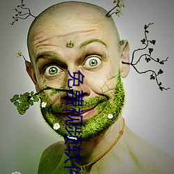 免费(fèi)视频软(ruǎn)件排名