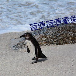 菠萝菠萝蜜免费高清在线观看