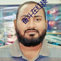 奋斗在红楼(樓)