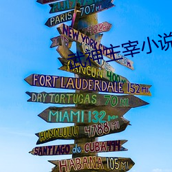 武神主(zhǔ)宰小(xiǎo)说