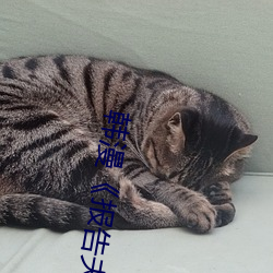 (n)()ˡ8()Ů()()()