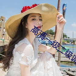高清一級二級調色