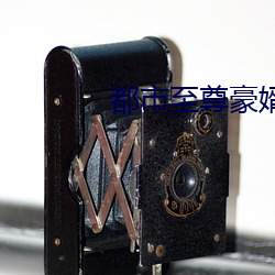 金年会(中国)官方网站