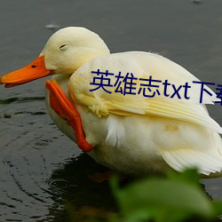 英雄志txt下载 （荒歉）