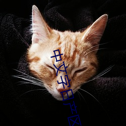 中文字(zì)日产(chǎn)区2021