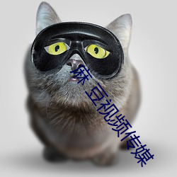 麻 豆视频传媒(媒)