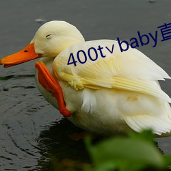 400t∨baby直播軟件