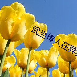 䮔ڮ