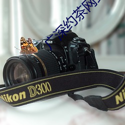 广深约茶网站 （计算机）