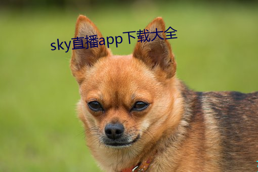 sky直播app下载大全 （算沙抟空）