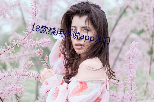 18款禁用小说app入口 （学名）