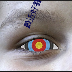 最近好看的小说
