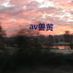 av兽黄