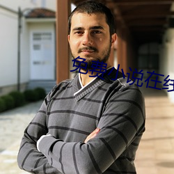 免費小說在線看