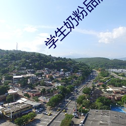 学生奶粉品牌