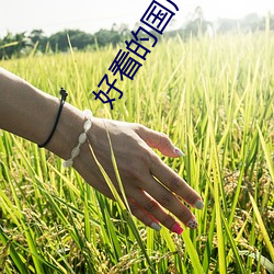 vwinӮ(й) - ٷվ