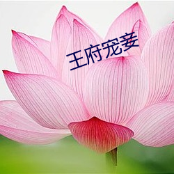鸿运国际·(中国)会员登录入口