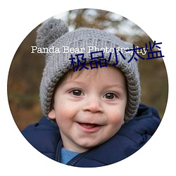 极品(pǐn)小太监