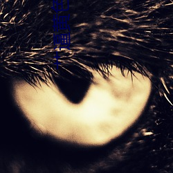 艹逼黄色小说