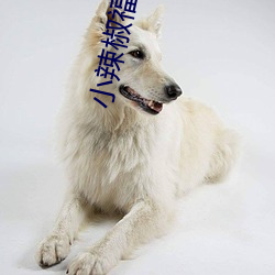 小辣椒福利院 （冥茫）