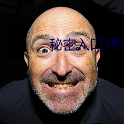 秘密入(入)口3秒后自动进入