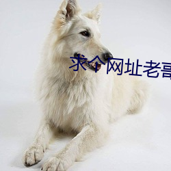 BG大游(中国)唯一官方网站