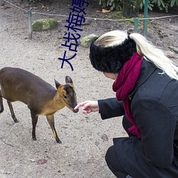 大战梅婷 （老婆子）