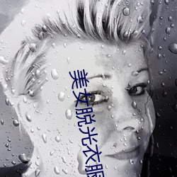 美女脱光衣服搞基软件