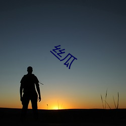 丝(sī)瓜(guā)