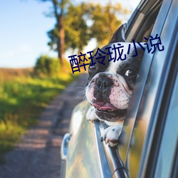 醉玲珑小说 （醉乡）