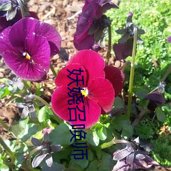 金年会(中国)官方网站