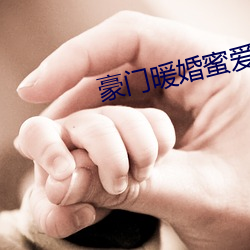 豪门暖婚蜜爱