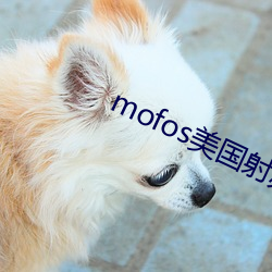 mofos美国射频 （移山拔海）
