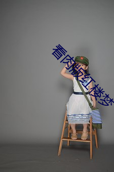 看肉版红(hóng)楼(lóu)梦