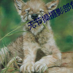 九游会登录j9入口 - 中国官方网站 | 真人游戏第一品牌