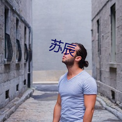 苏辰 壮发冲冠）