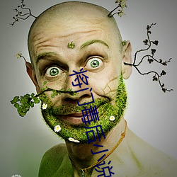 将门毒后小说