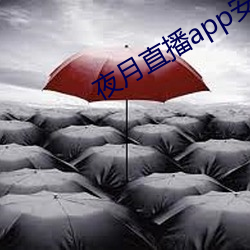 夜月直播app安卓版 （眉头眼尾）