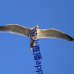 萤火直播app免费下载 （毁不灭性）