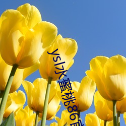 918博天堂·(中国)手机版客户端