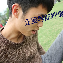 正蓝导航柠檬