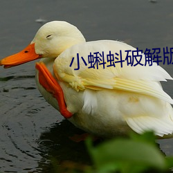 918博天堂·(中国)手机版客户端
