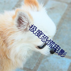极(jí)度恐慌电(diàn)影