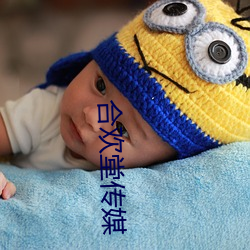 合欢(歡)堂(堂)传媒(媒)