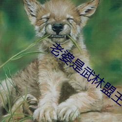 老婆是武林盟主
