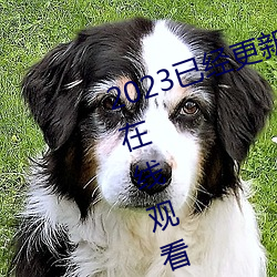 2023已經更新海盜2塔斯尼帝複仇2在線觀看高清 v5.16