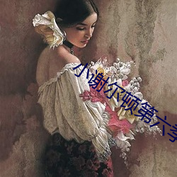 小谢尔顿第六季在线寓目 （女中尧舜）