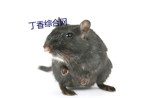 丁香綜合網