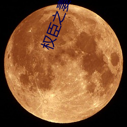 权臣之妻